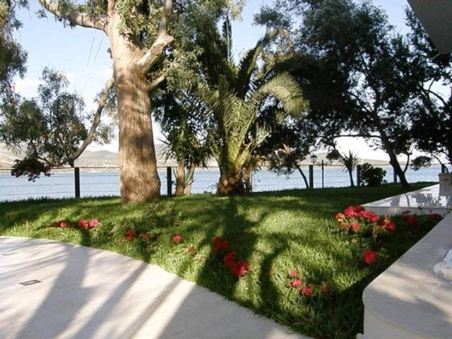 Tzeni Villa Lygia (Lefkada) Exterior foto