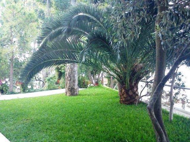 Tzeni Villa Lygia (Lefkada) Exterior foto